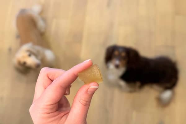 turkey bone broth gummies for dogs