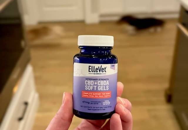 CBD for joint support in dogs